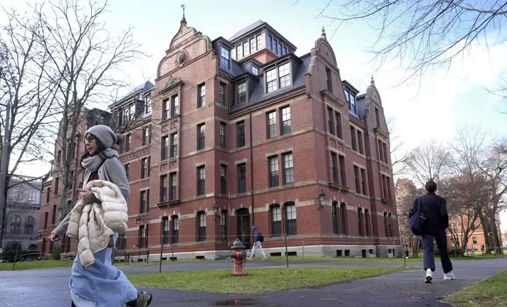 WhatsApp Image 2025-06-27 at 10.24.11.jpeg