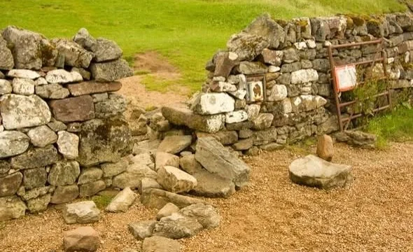 WhatsApp Image 2025-11-25 at 08.04.20.jpeg