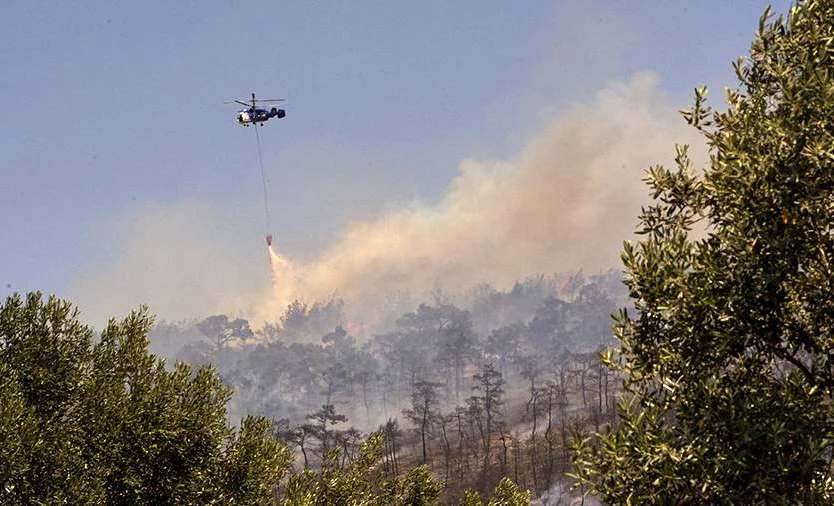 WhatsApp Image 2025-06-26 at 08.42.02.jpeg