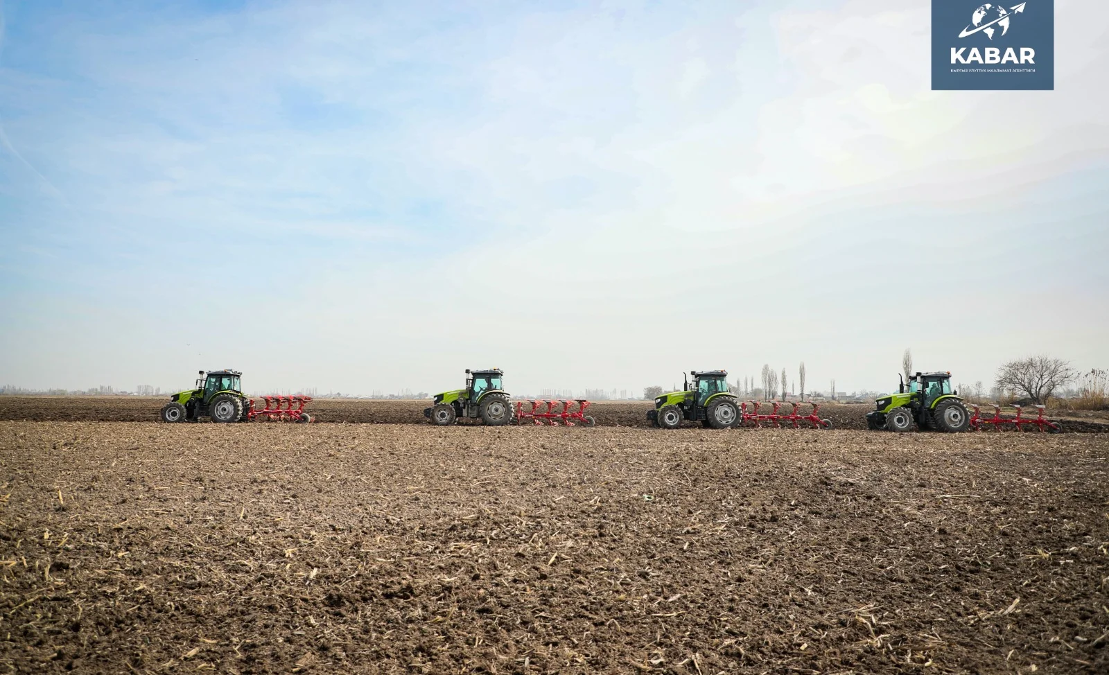 WhatsApp Image 2025-03-26 at 11.32.36.jpeg