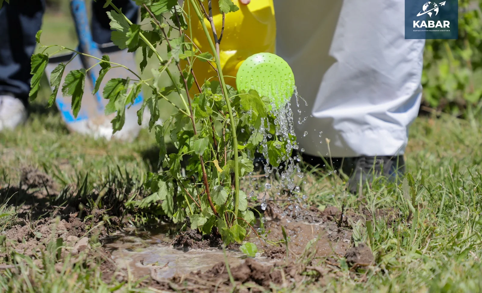 WhatsApp Image 2025-03-25 at 12.53.28.jpeg