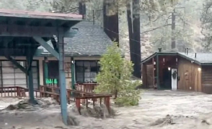 WhatsApp Image 2025-12-26 at 08.24.46.jpeg