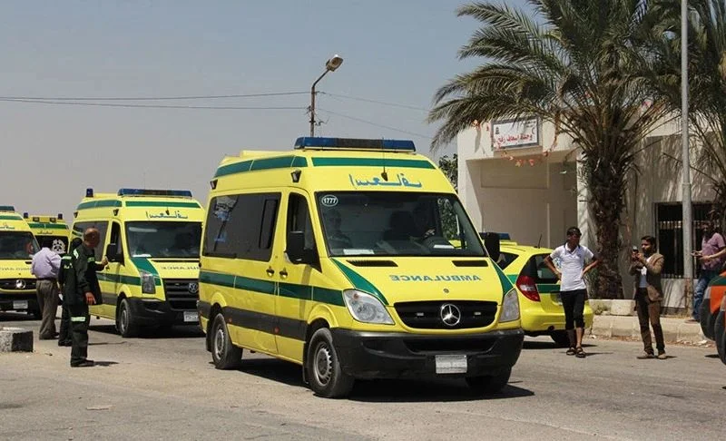 WhatsApp Image 2025-11-12 at 09.49.59.jpeg