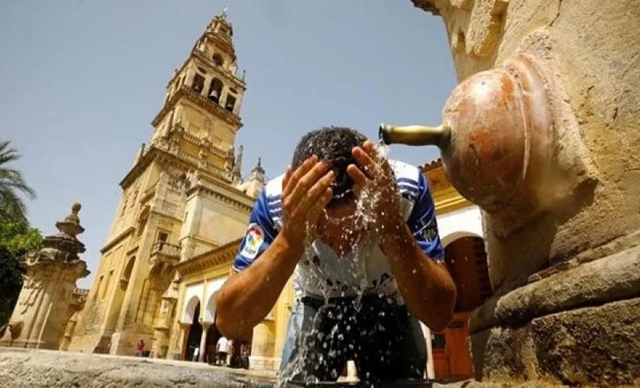 WhatsApp Image 2025-08-06 at 08.46.11.jpeg