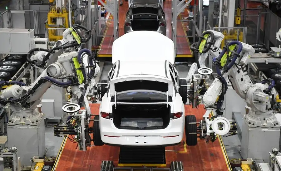 WhatsApp Image 2025-02-12 at 08.18.40.jpeg