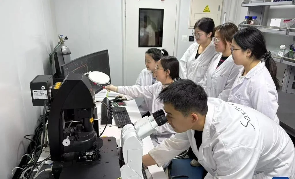 WhatsApp Image 2025-04-08 at 07.09.10.jpeg