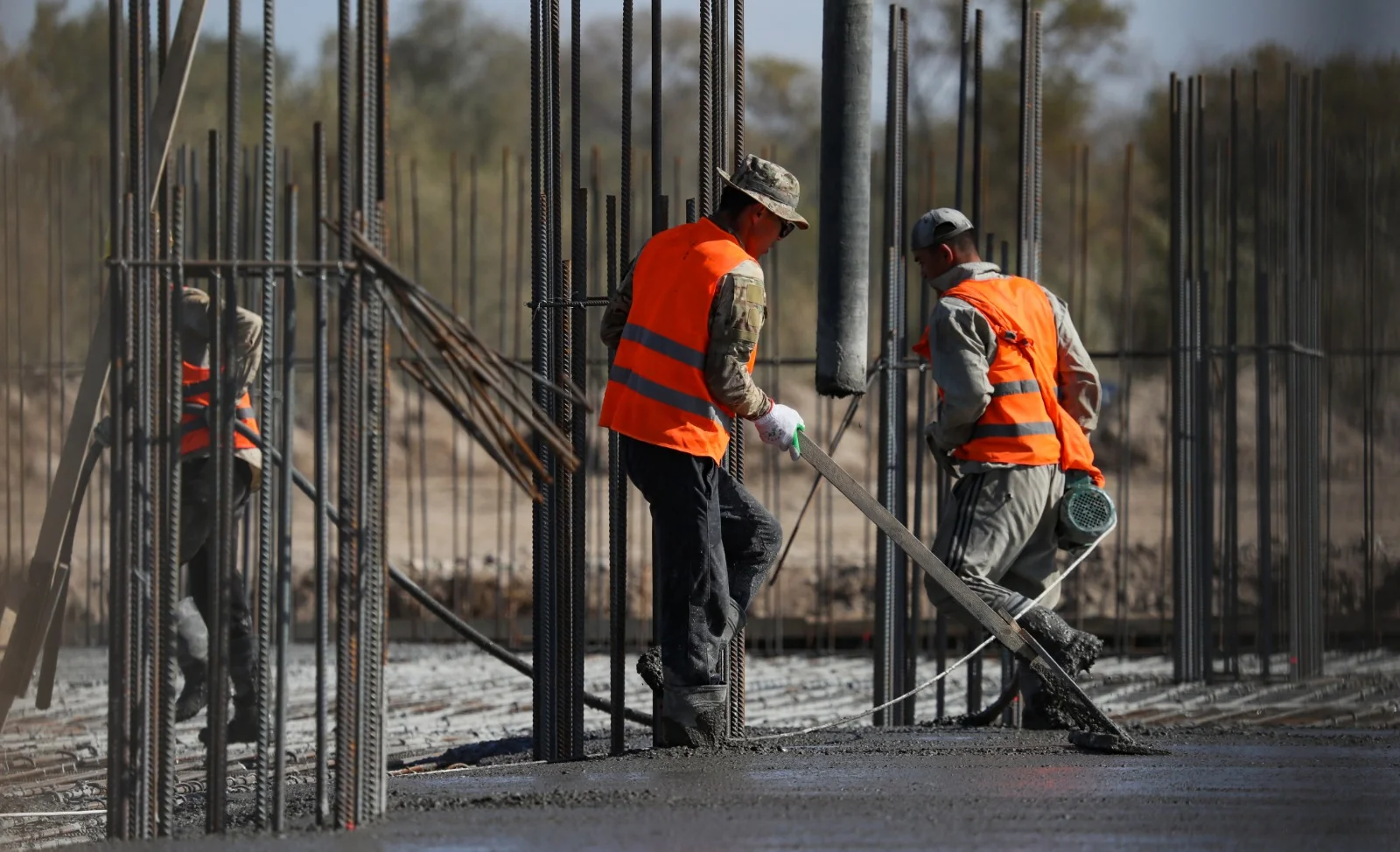 WhatsApp Image 2025-12-04 at 15.14.50.jpeg