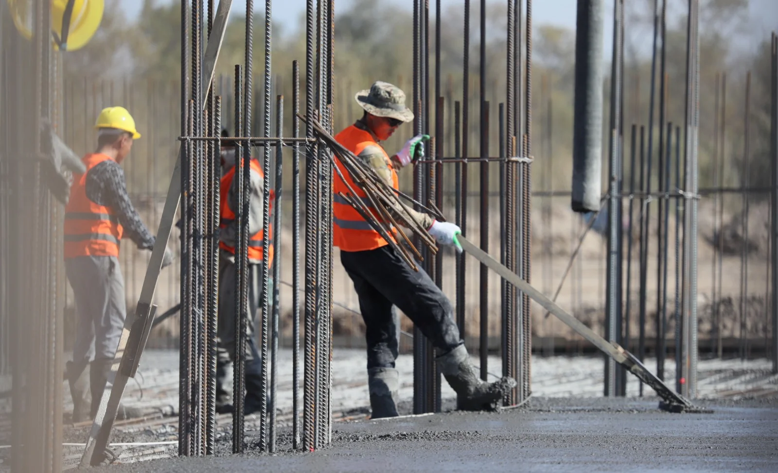 WhatsApp Image 2025-04-14 at 14.26.04.jpeg