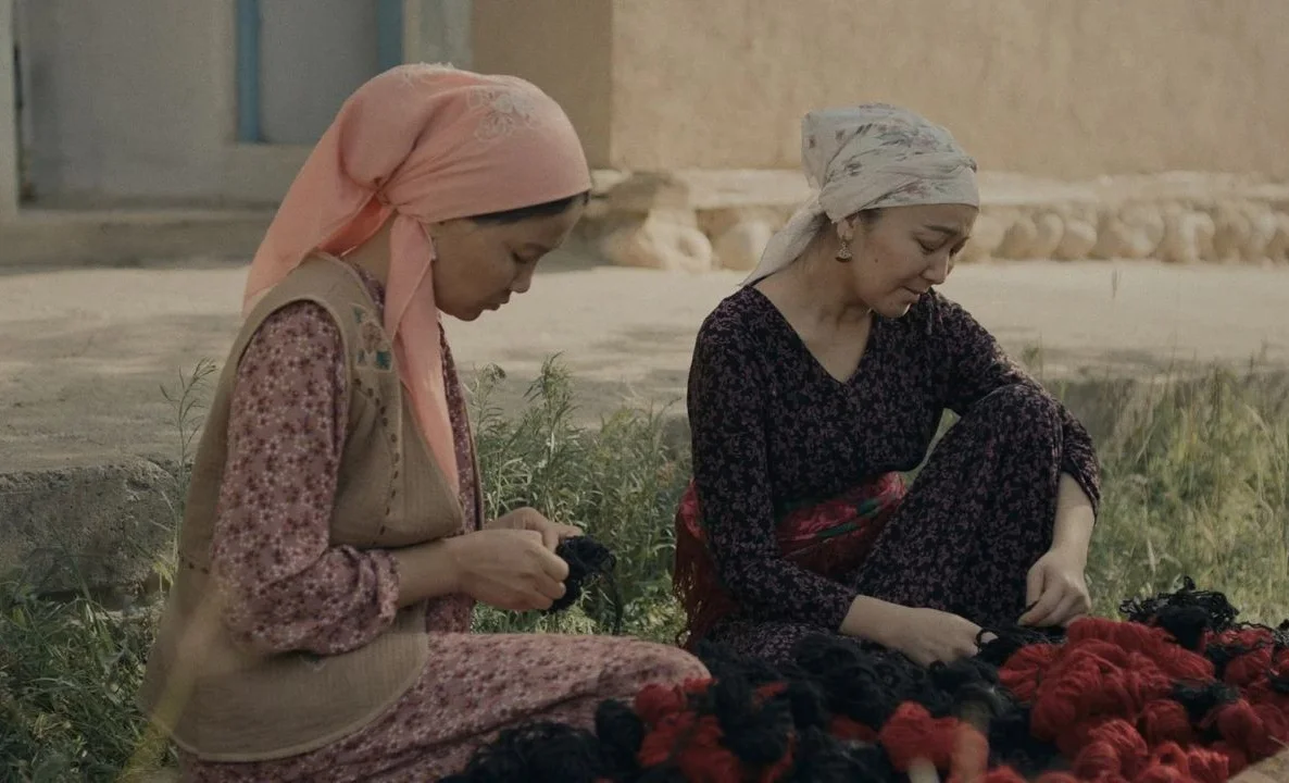 WhatsApp Image 2025-08-20 at 15.29.53.jpeg