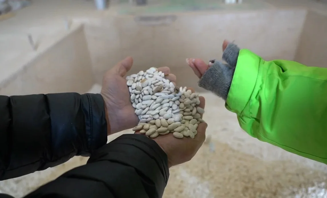 WhatsApp Image 2025-11-04 at 14.14.13.jpeg