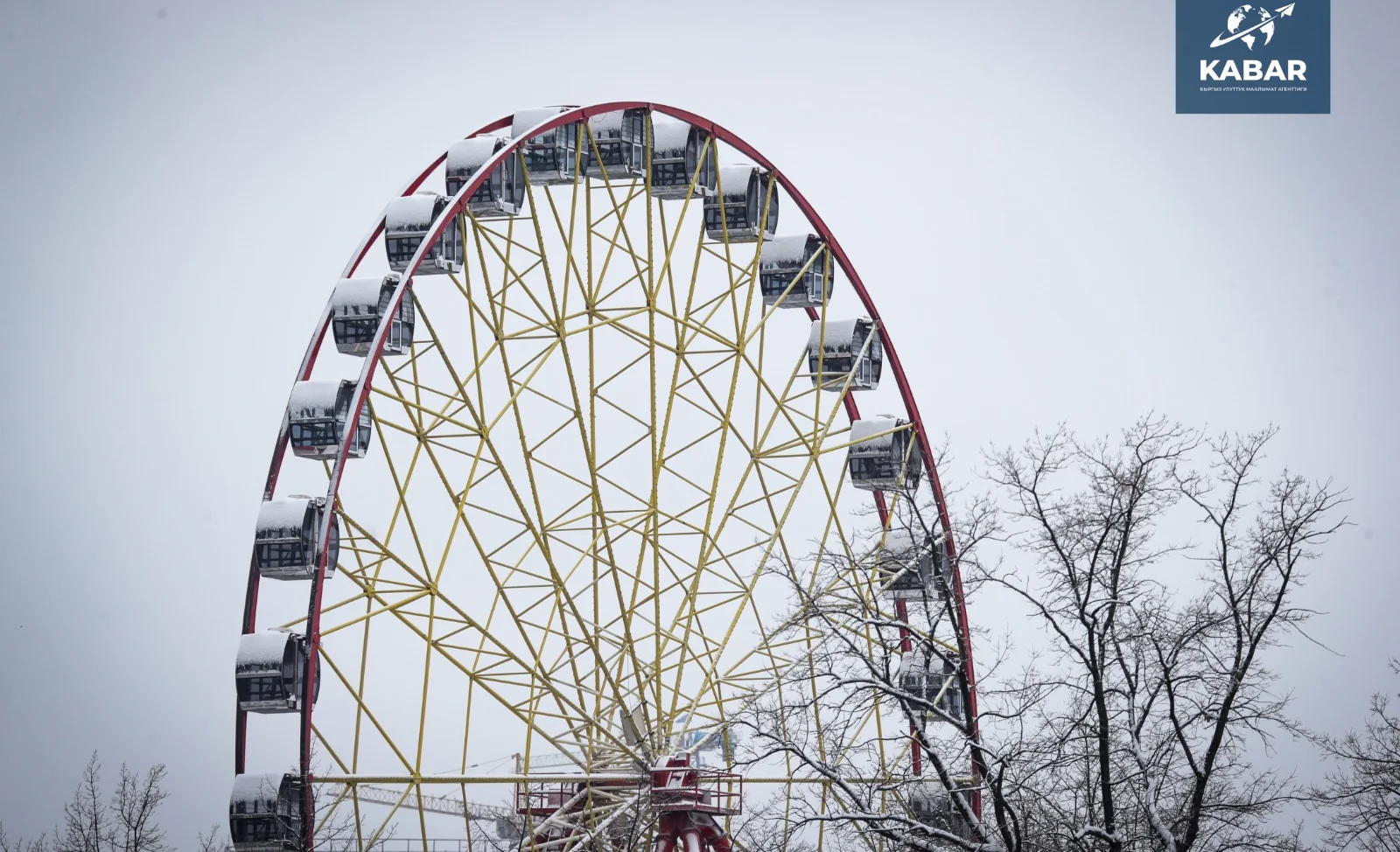 WhatsApp Image 2025-12-10 at 14.57.31.jpeg