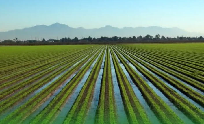 WhatsApp Image 2025-03-31 at 13.00.15.jpeg