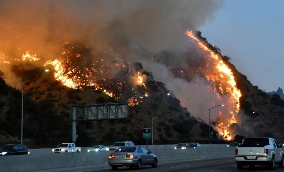 WhatsApp Image 2025-07-14 at 10.17.25 (1).jpeg