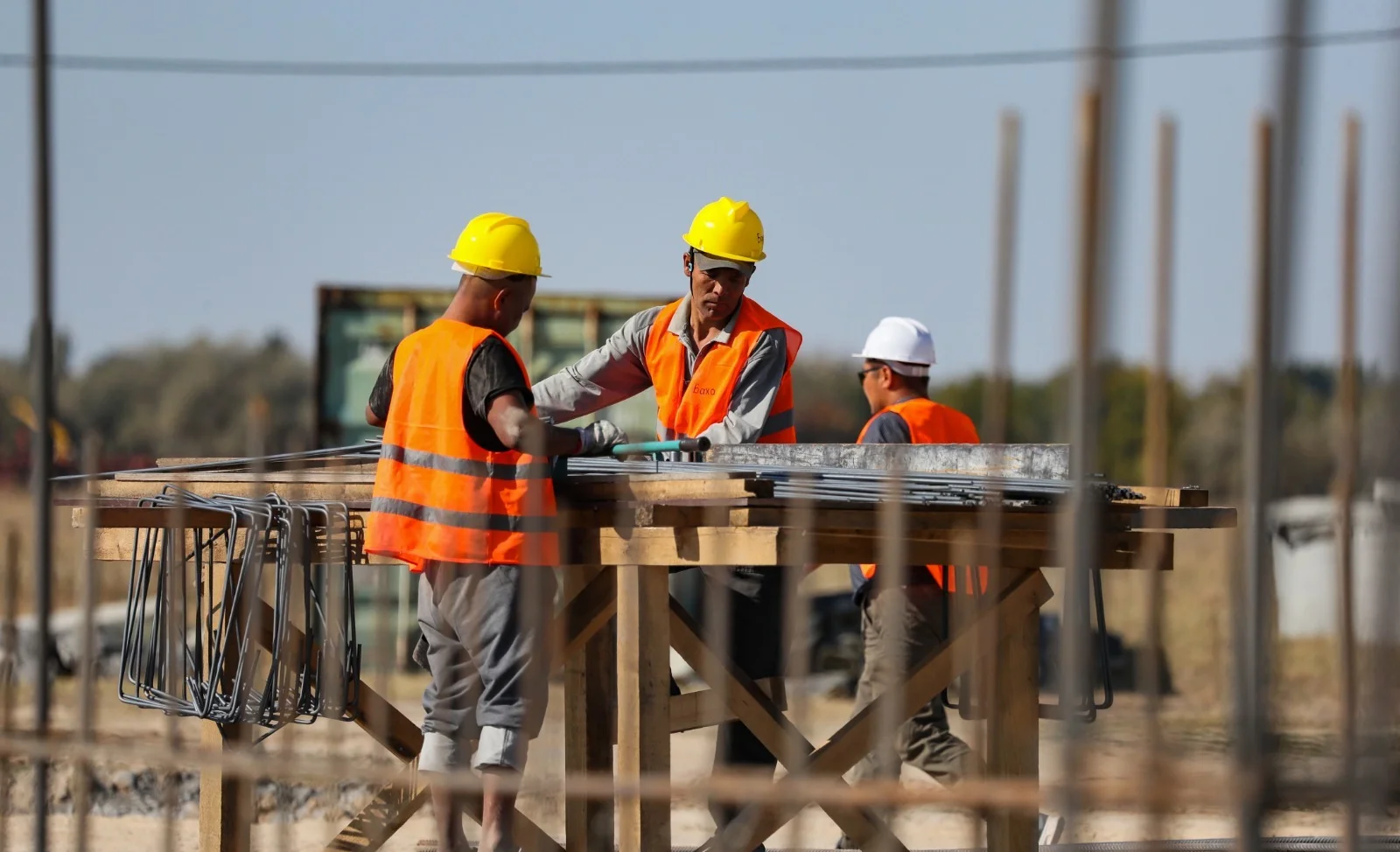 WhatsApp Image 2025-12-10 at 12.16.14.jpeg