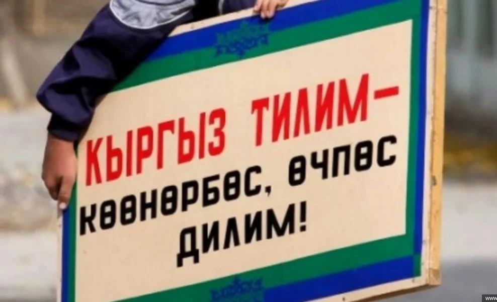 WhatsApp Image 2025-08-11 at 12.01.06.jpeg