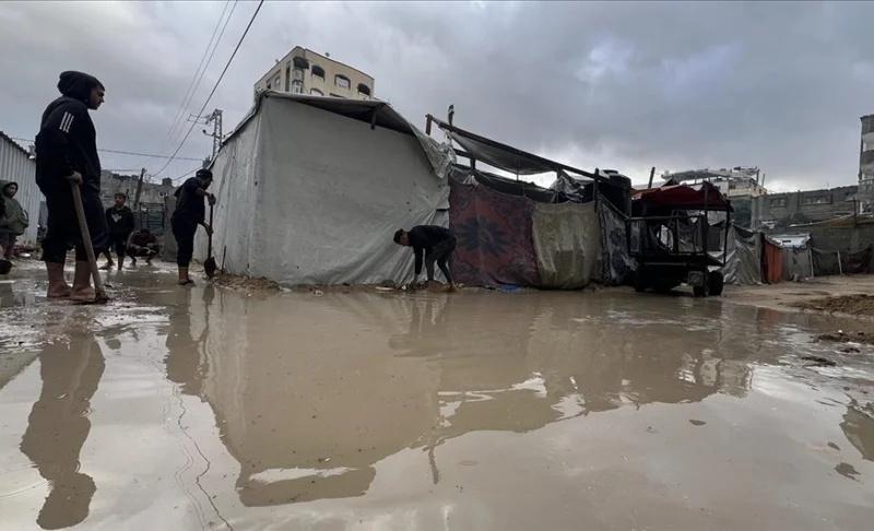 WhatsApp Image 2025-11-26 at 08.33.05.jpeg