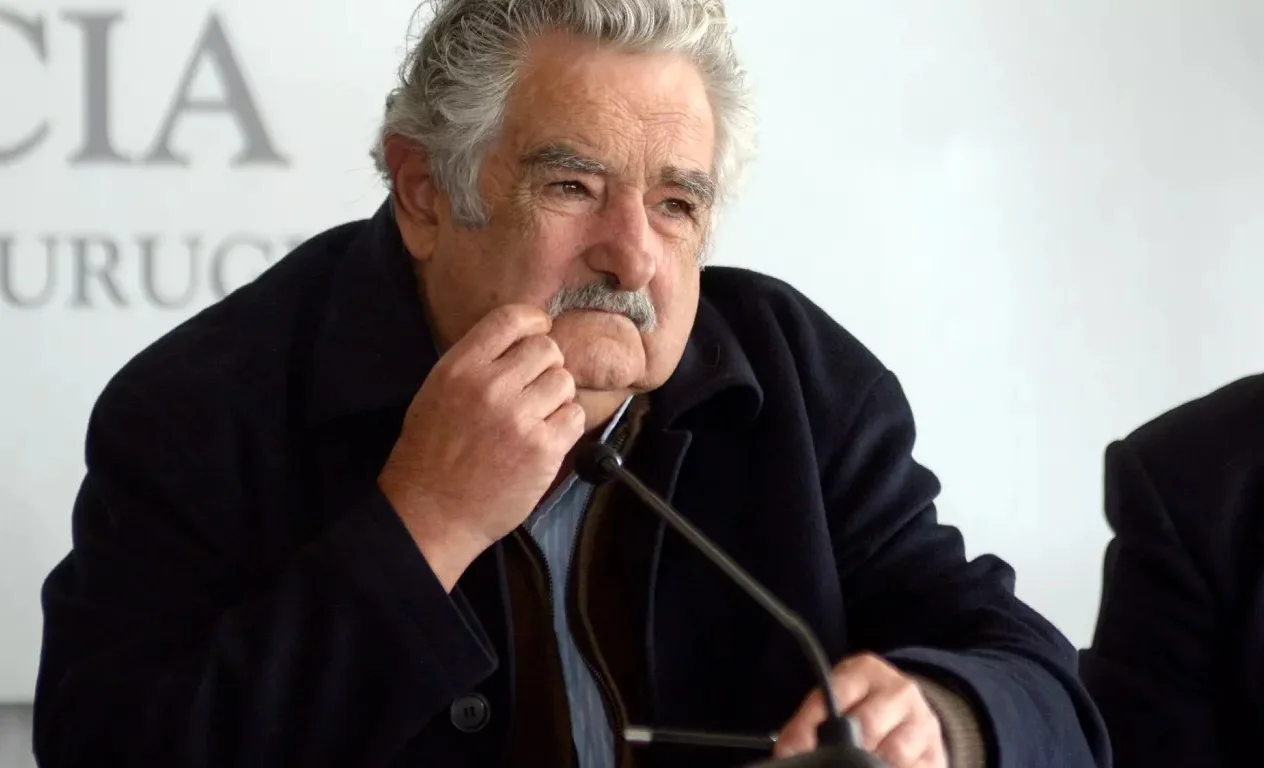 WhatsApp Image 2025-05-15 at 12.37.01.jpeg