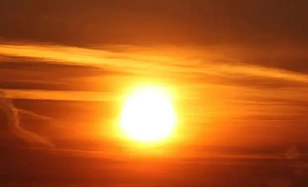 WhatsApp Image 2025-08-08 at 11.23.55.jpeg