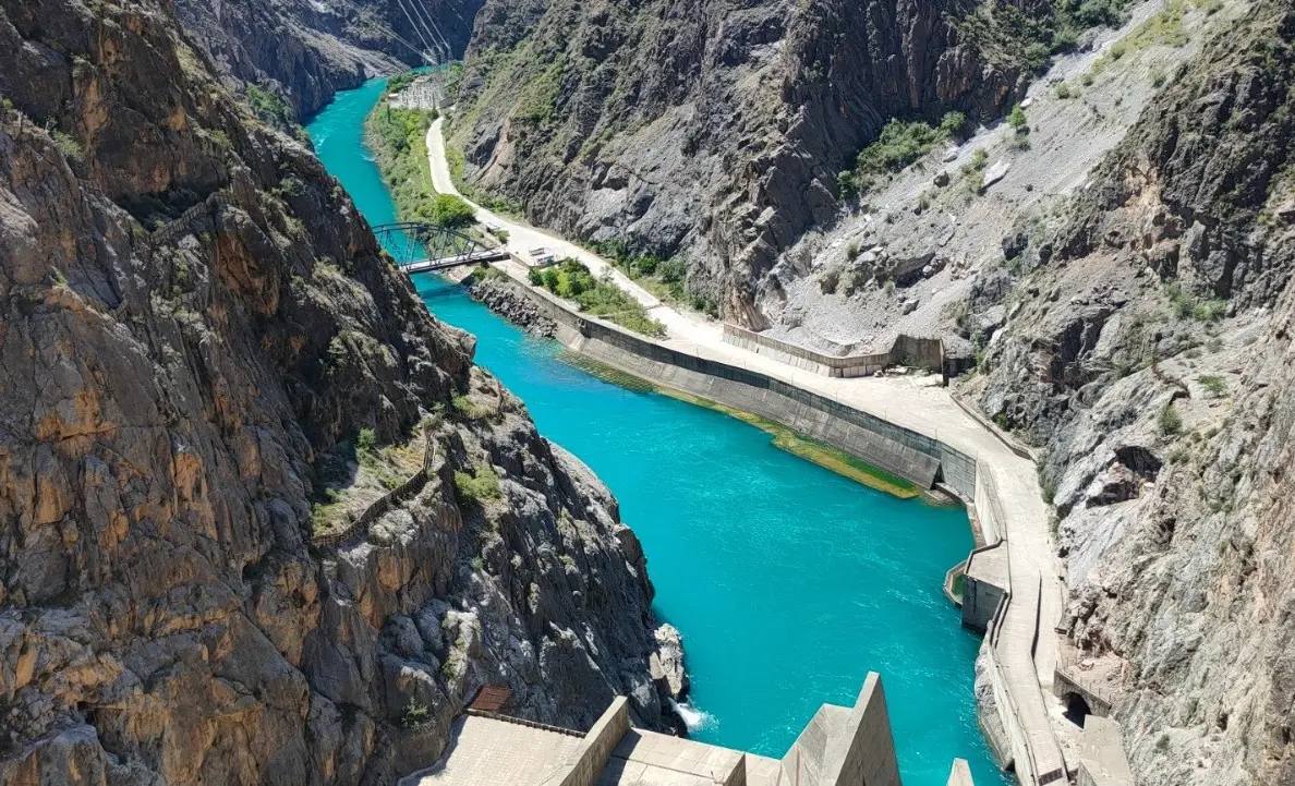 WhatsApp Image 2025-02-12 at 12.29.36.jpeg