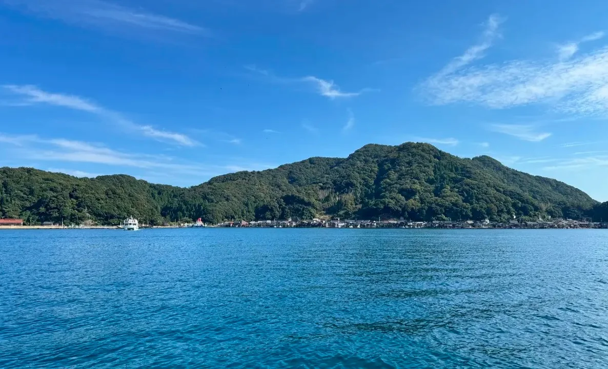 WhatsApp Image 2025-07-03 at 12.42.54.jpeg