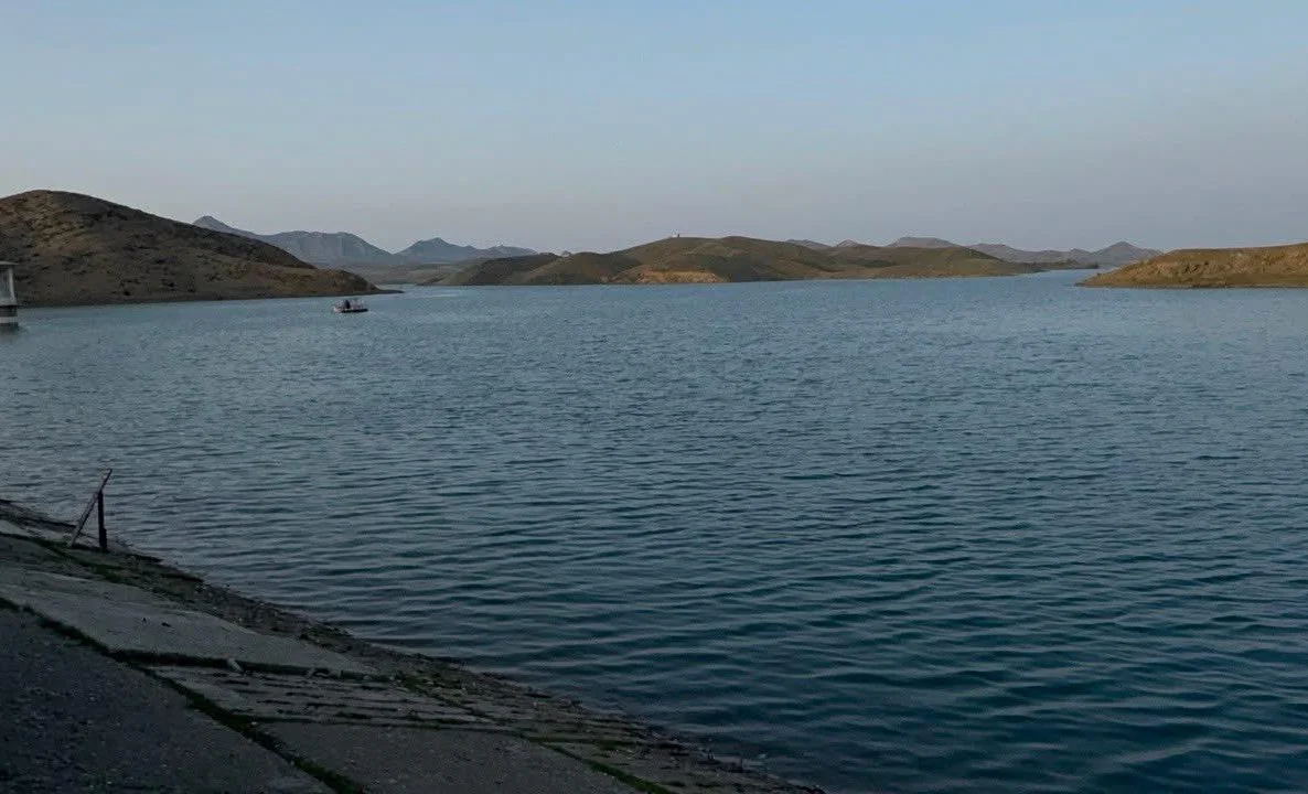 WhatsApp Image 2025-03-31 at 10.38.13 (1).jpeg