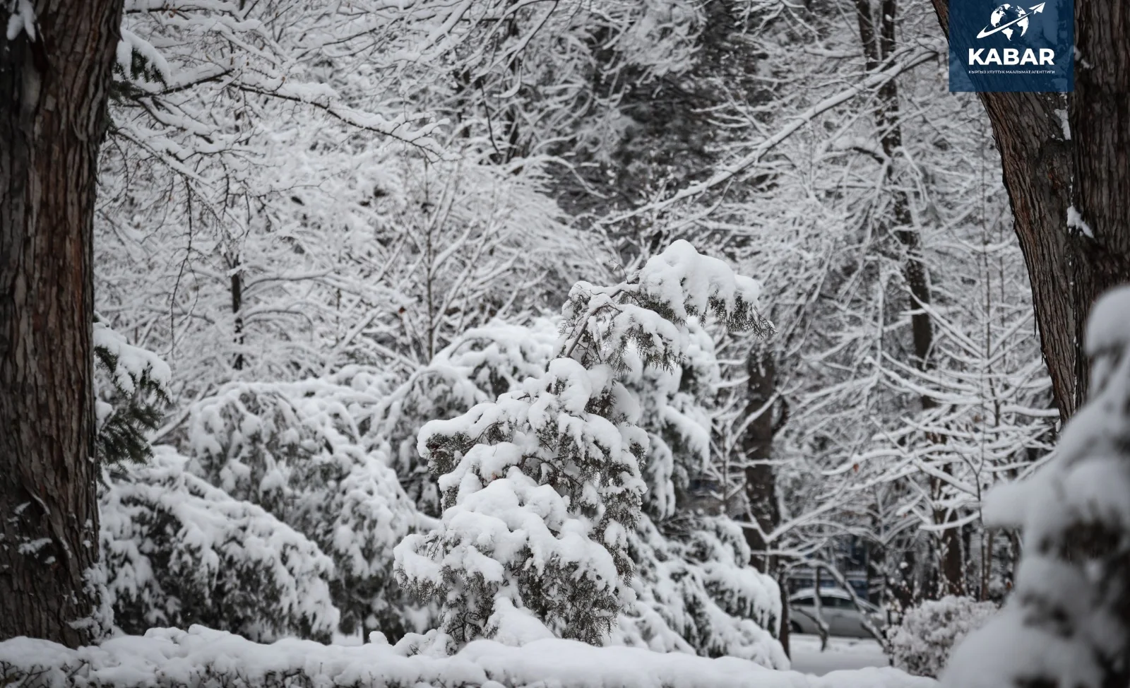 WhatsApp Image 2025-12-10 at 14.57.30.jpeg