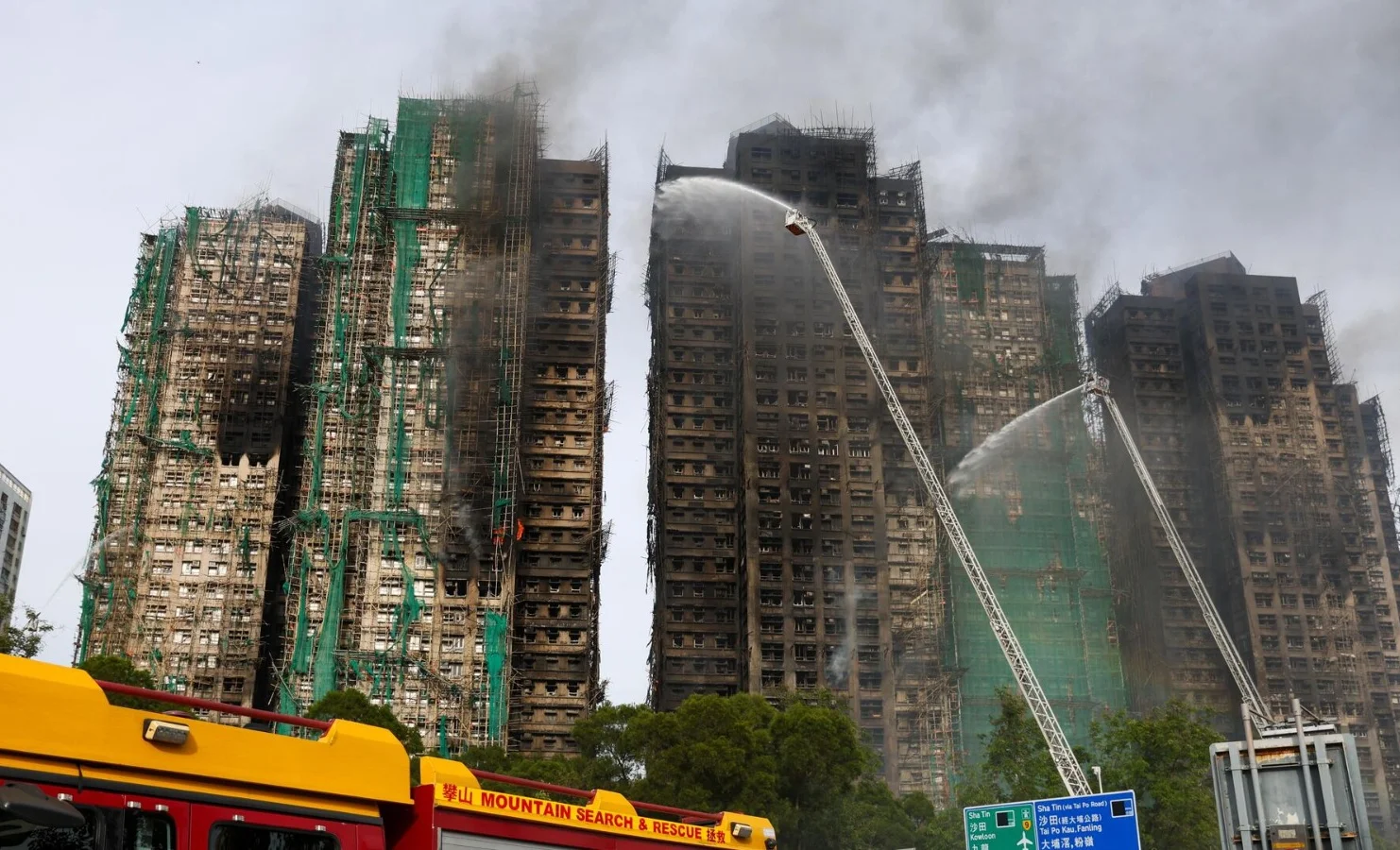 WhatsApp Image 2025-11-30 at 11.49.16.jpeg