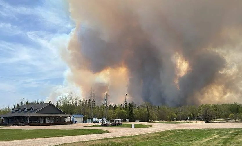 WhatsApp Image 2025-05-15 at 06.53.26.jpeg