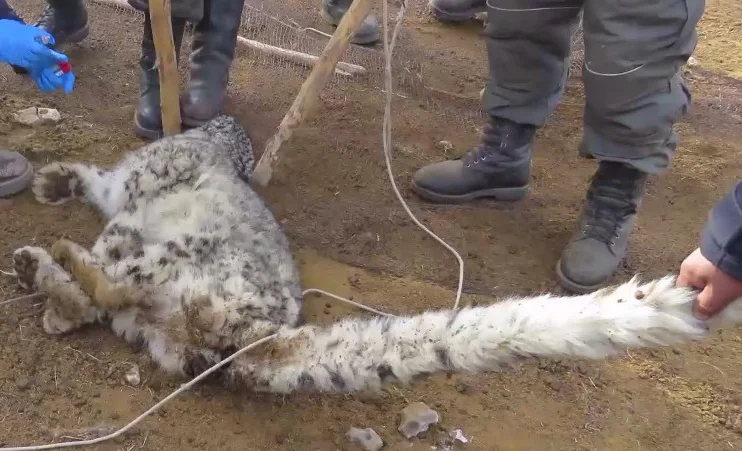 WhatsApp Image 2025-10-23 at 13.41.04.jpeg