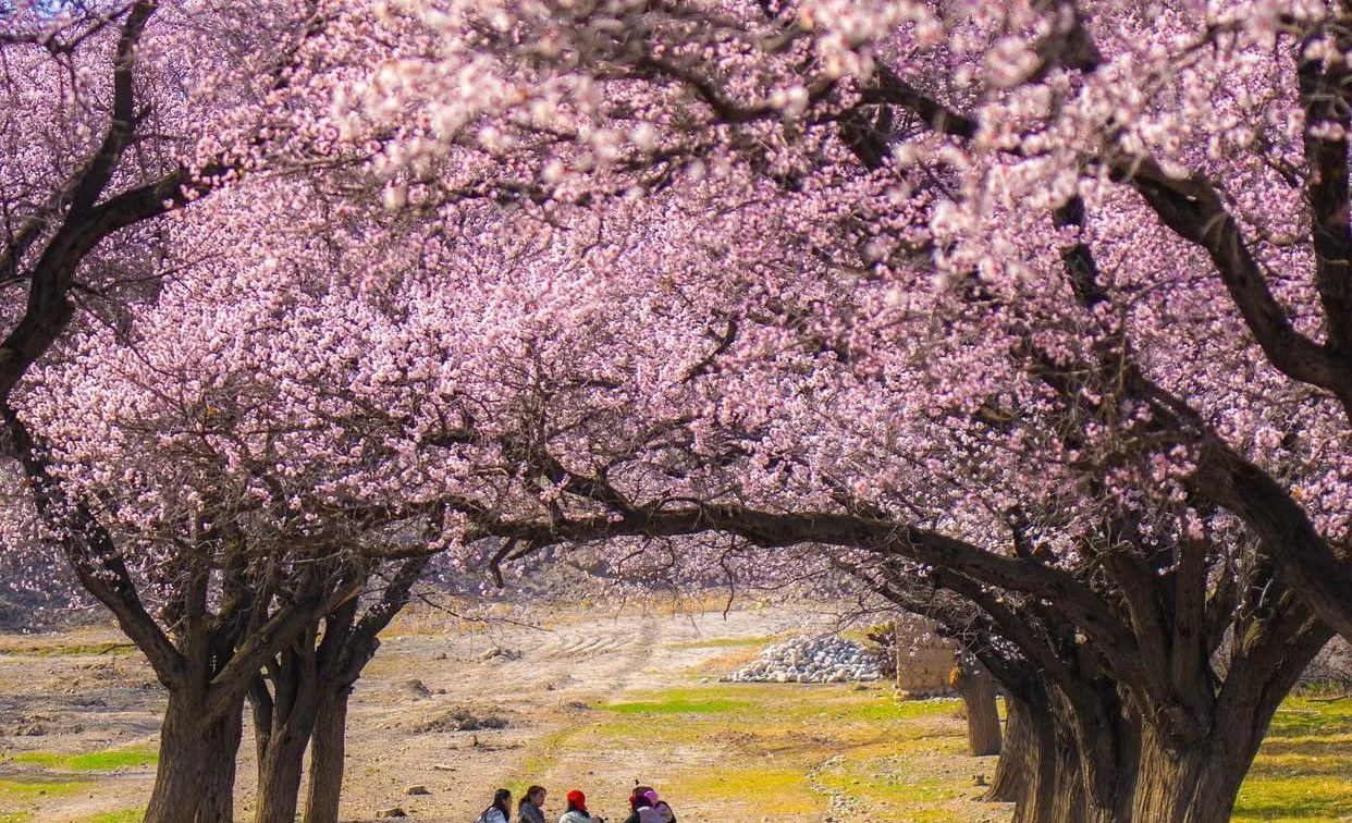 WhatsApp Image 2025-12-12 at 18.33.01.jpeg