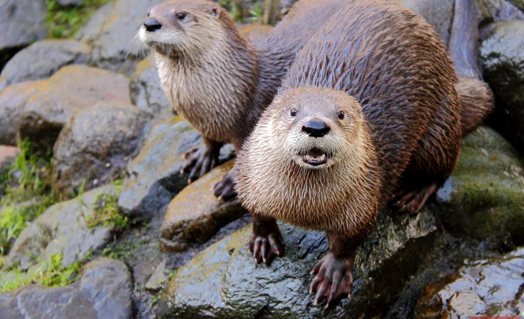 WhatsApp Image 2025-03-06 at 11.35.44.jpeg