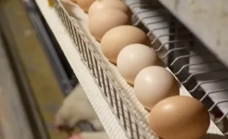 WhatsApp Image 2025-09-29 at 15.18.12.jpeg