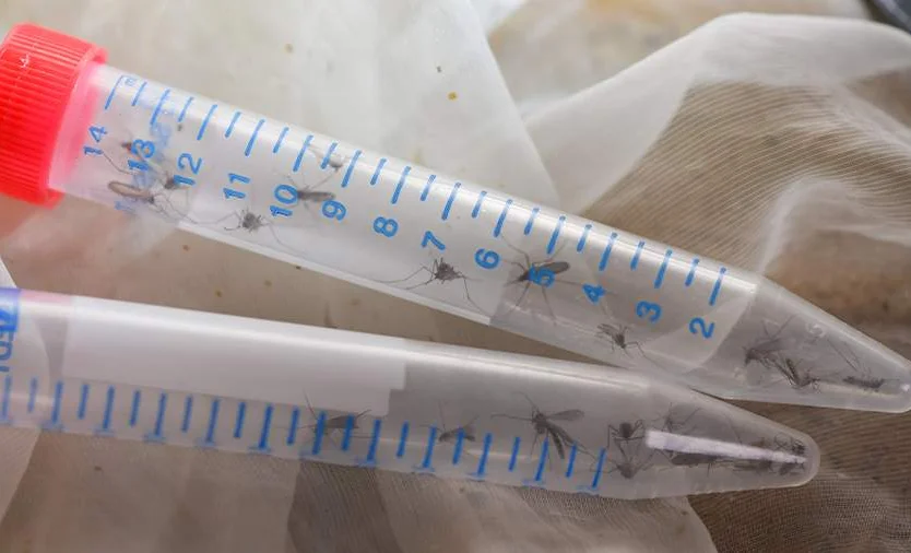 WhatsApp Image 2025-05-26 at 09.58.13.jpeg