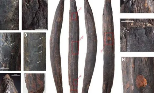 WhatsApp Image 2025-07-04 at 08.45.45.jpeg