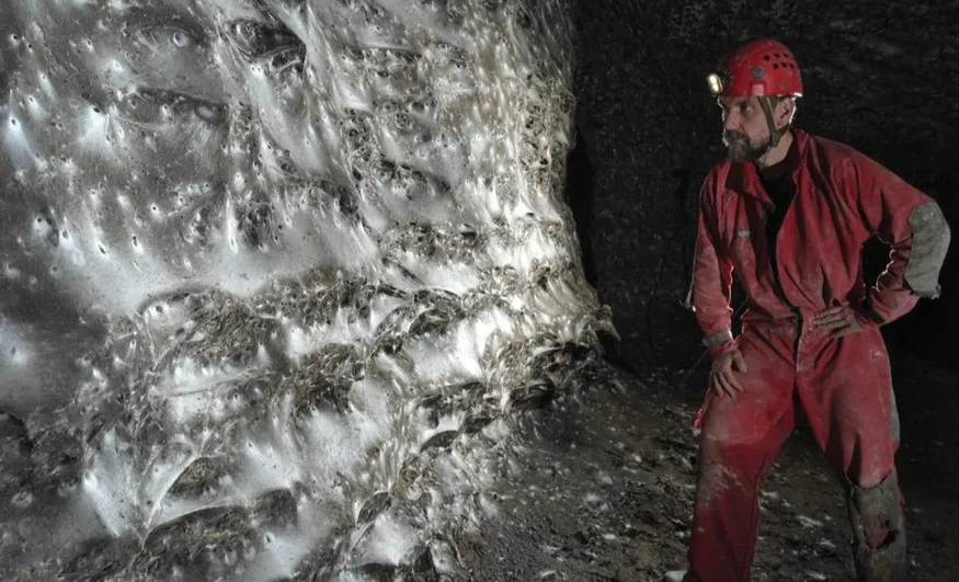 WhatsApp Image 2025-12-03 at 11.22.41.jpeg