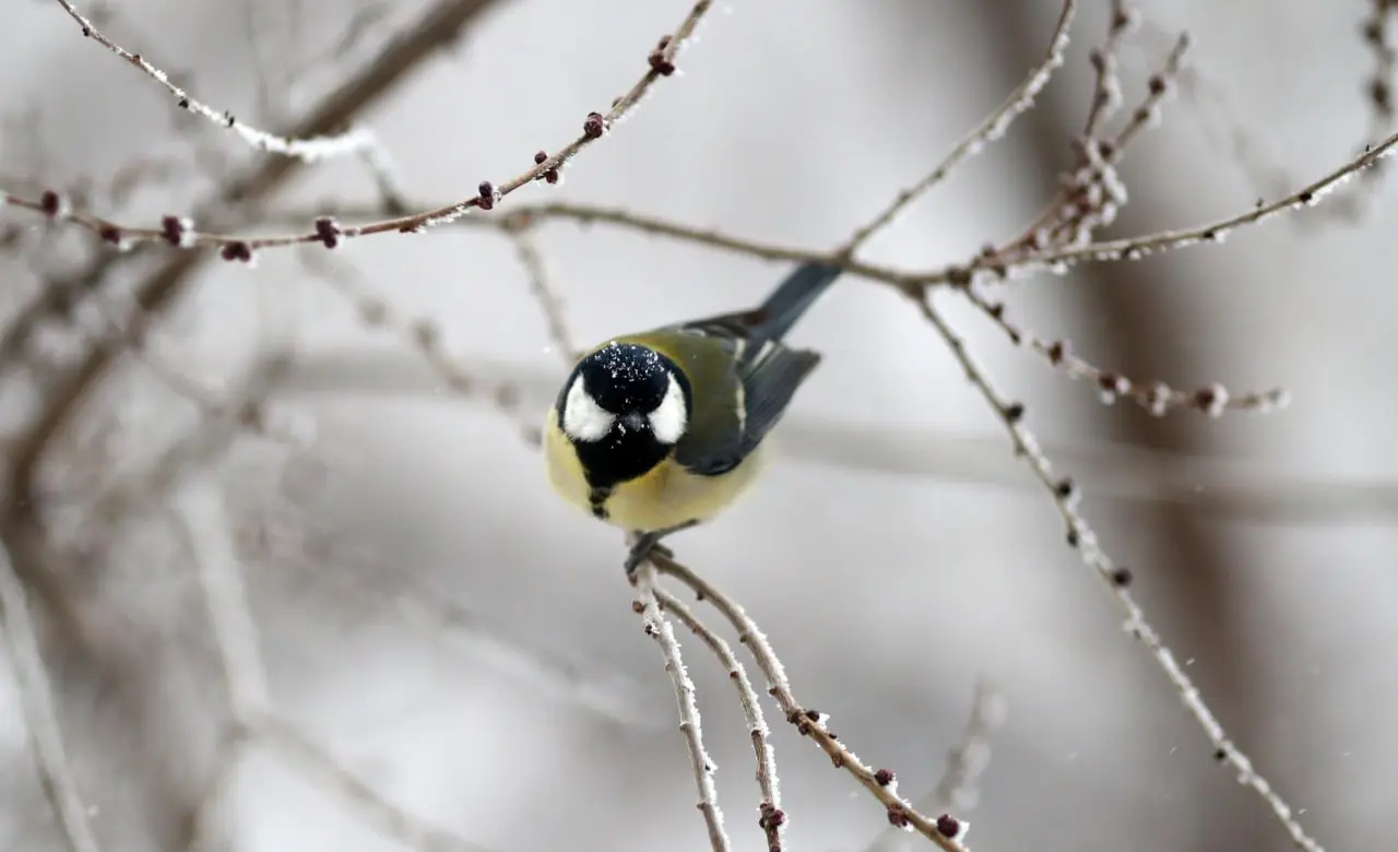 WhatsApp Image 2025-02-19 at 12.16.34.jpeg