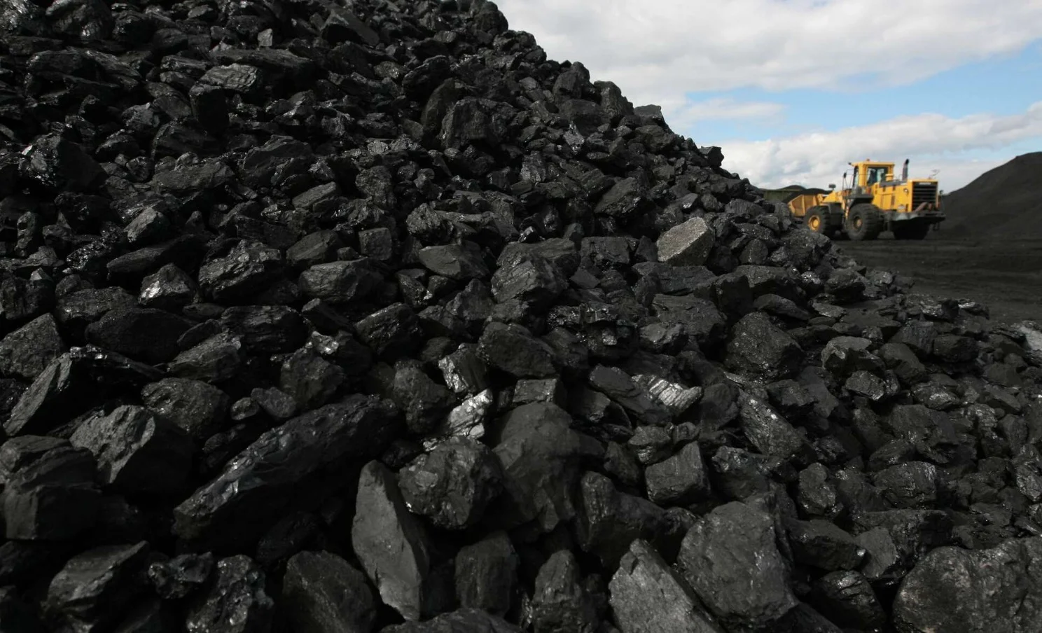 WhatsApp Image 2025-12-10 at 11.47.05.jpeg