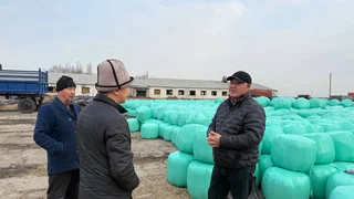 WhatsApp Image 2026-01-10 at 12.54.15 (1).jpeg