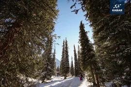 WhatsApp Image 2026-01-12 at 11.25.55.jpeg