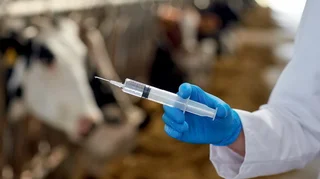 WhatsApp Image 2026-01-12 at 15.03.05.jpeg