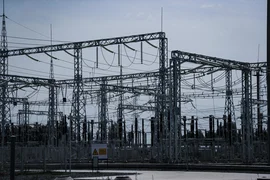 WhatsApp Image 2026-01-16 at 10.39.31 (1).jpeg