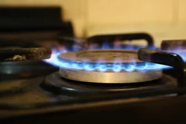 WhatsApp Image 2026-01-16 at 14.51.57.jpeg