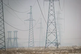 WhatsApp Image 2026-01-16 at 14.51.48.jpeg