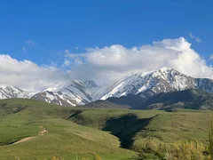 WhatsApp Image 2026-01-16 at 15.55.30 (2).jpeg