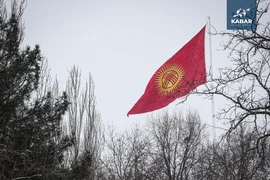 WhatsApp Image 2026-01-16 at 16.39.46 (1).jpeg