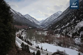 WhatsApp Image 2026-01-16 at 16.14.10.jpeg