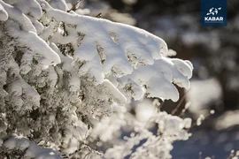 WhatsApp Image 2026-01-16 at 16.14.03 (1).jpeg