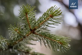 WhatsApp Image 2026-01-16 at 16.14.11.jpeg