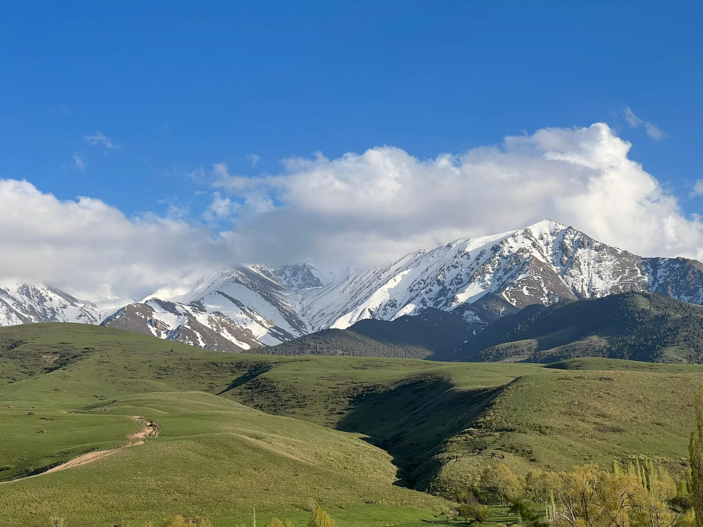 WhatsApp Image 2026-01-16 at 15.55.30 (2).jpeg