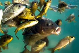 WhatsApp Image 2026-01-21 at 10.09.38.jpeg